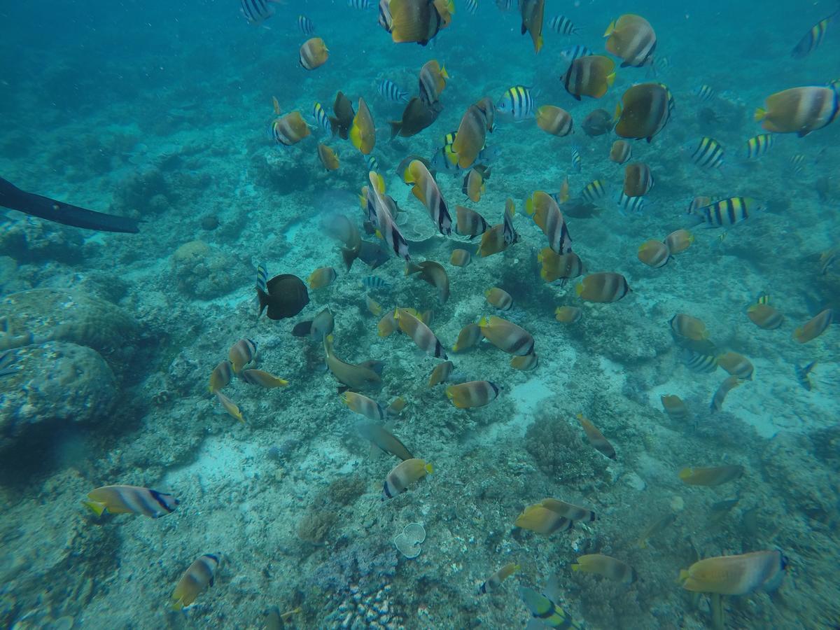Meisya Cottage Gili Trawangan Luaran gambar